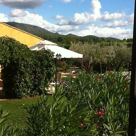 Les cigales des près appartement Aups Extérieur photo